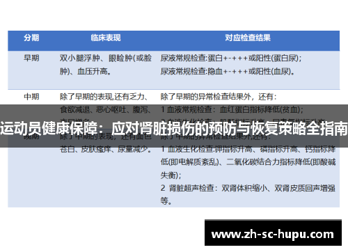 运动员健康保障：应对肾脏损伤的预防与恢复策略全指南