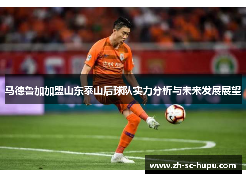 马德鲁加加盟山东泰山后球队实力分析与未来发展展望